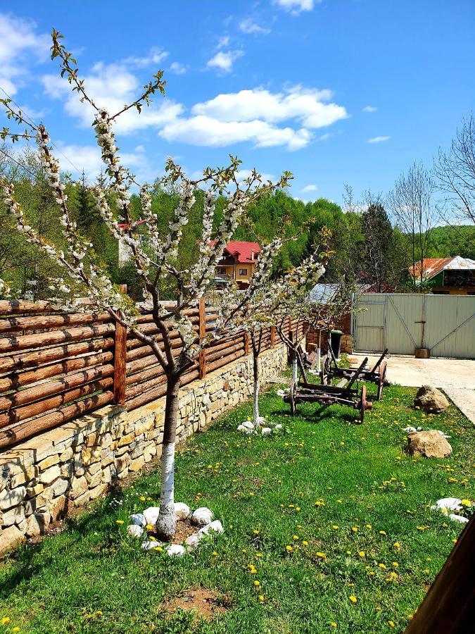 Rooms Poienita Slănic-Moldova Eksteriør billede